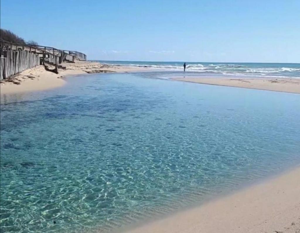 Palazzo Primitivo Casa Vacanze Appartamento Manduria Dış mekan fotoğraf